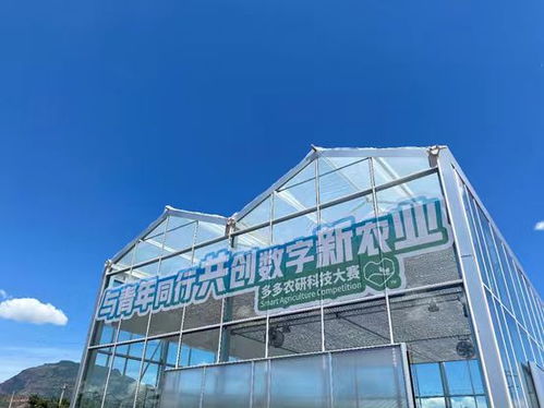 2024中國農產品電商發展報告 拼多多以人與技術雙輪驅動，培育新產品與技術開發